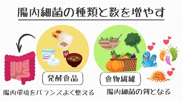 【腸内細菌】腸内環境を改善し整える必要性と方法について