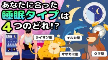 睡眠の４つのクロノタイプとは あなたはどの動物タイプ ライフハックアニメーション